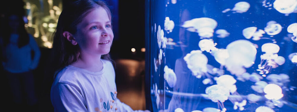 Aquarium of Quebec Travel Forum Reviews