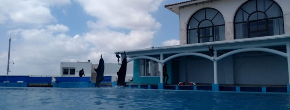 Aquarium of Veracruz Travel Forum Reviews