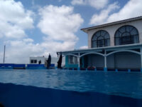 Aquarium of Veracruz Travel Forum Reviews