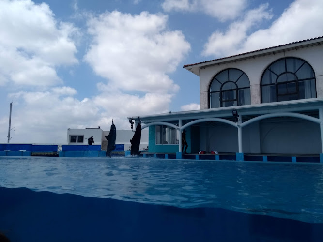 Aquarium of Veracruz