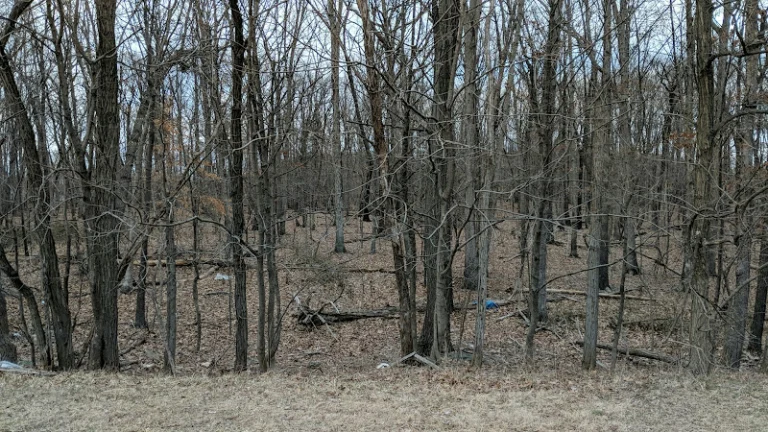 Aquarius Local Park