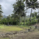 Arai-Te-Tonga