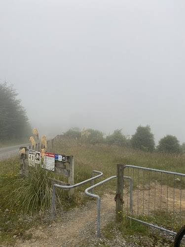 Arapuke Forest Park upper carpark at Scotts Road
