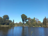 Arboretum GATEway Garden Travel Forum Reviews