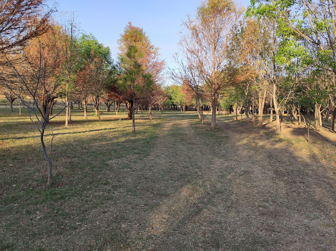 Arboretum