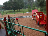 Arboretum Sunnidale Park Travel Forum Reviews
