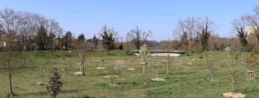 Arboretum de Sathonay-Camp Travel Forum Reviews