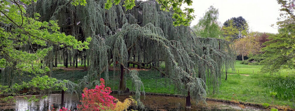 Arboretum of the Valley of Wolves Travel Forum Reviews