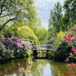 Arboretum trompenburg