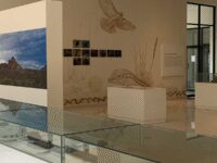 Archaeology and History Museum of El Chamizal Travel Forum Reviews
