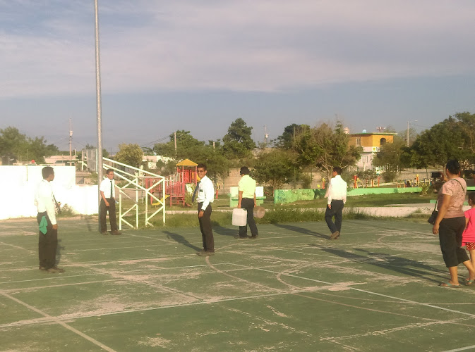 Area Verde