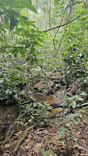 Área de preservação Nascente do Córrego Mineiros