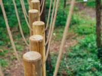 Arial Trail Travel Forum Reviews