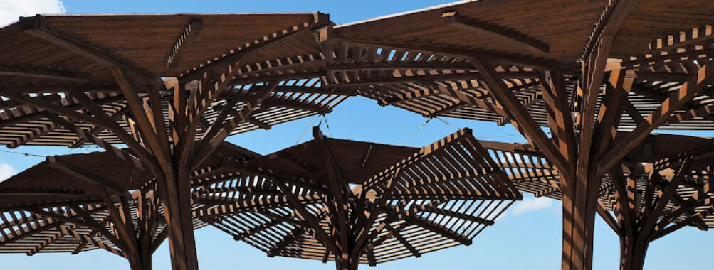 Ariel Sharon Park Travel Forum Reviews