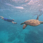 Ariki Adventures