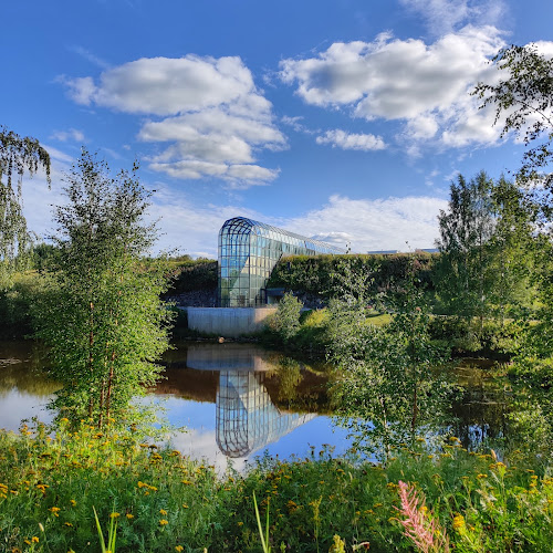 Arktikum Arboretum