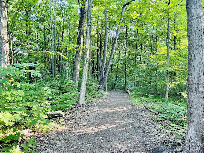 Armand-Frappier Woods