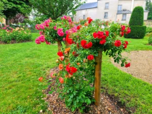 Arménie Garden