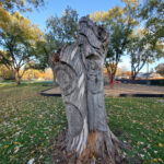 Armitage Park