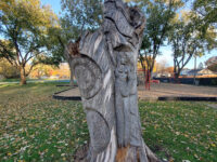 Armitage Park Travel Forum Reviews