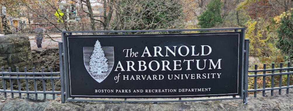 Arnold Arboretum of Harvard University Travel Forum Reviews