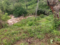 Arroyo El Tamarindo Travel Forum Reviews