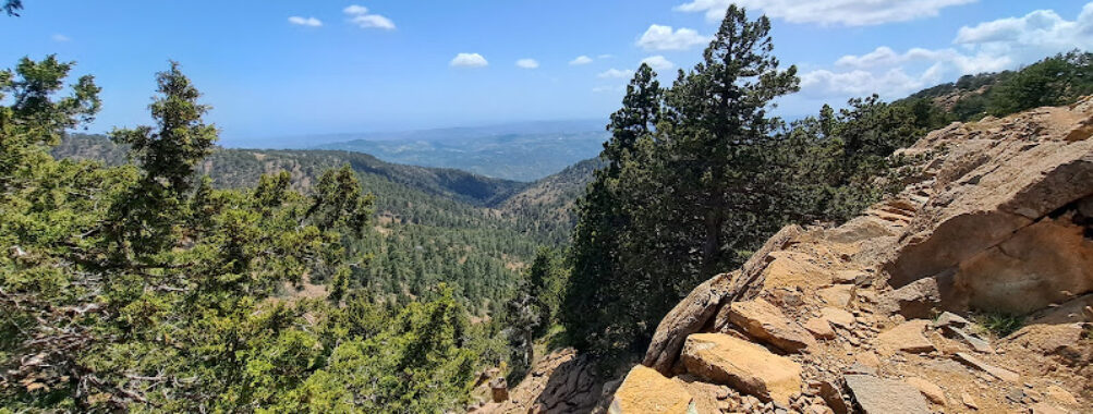 Artemis Trail Travel Forum Reviews