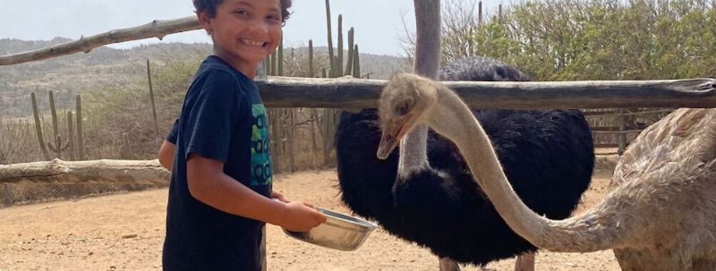Aruba Ostrich Farm Travel Forum Reviews