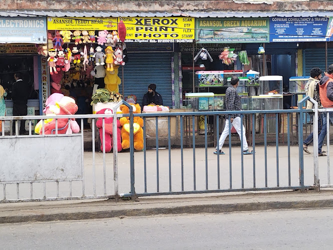 Asansol Teddy Bear