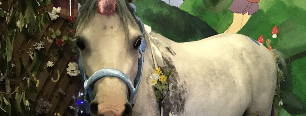 Ash End House Children's Farm Travel Forum Reviews