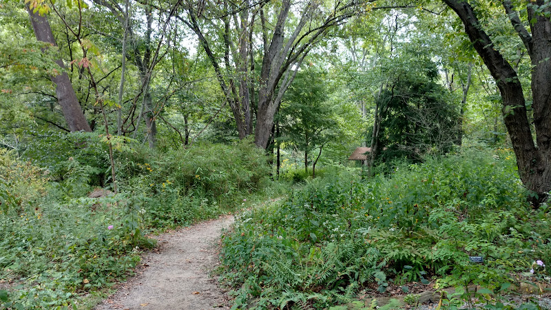 Asheville Botanical Garden