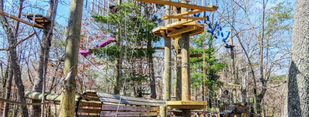Asheville Treetops Adventure Park Travel Forum Reviews