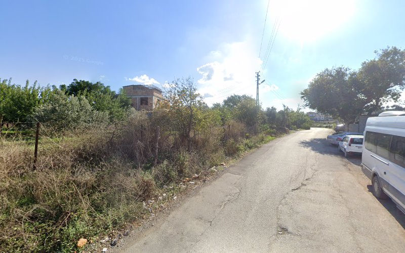 Asi kenarı