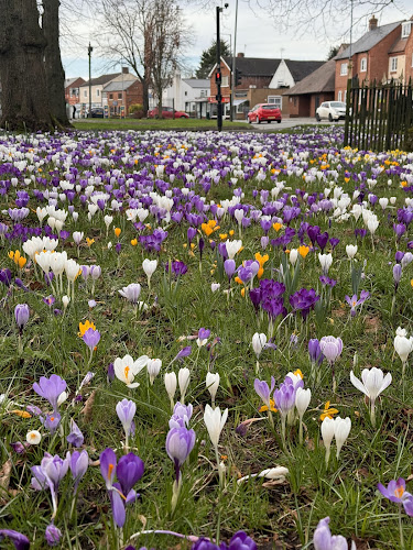 Assheton Recreation Ground