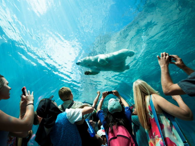 Assiniboine Park Zoo