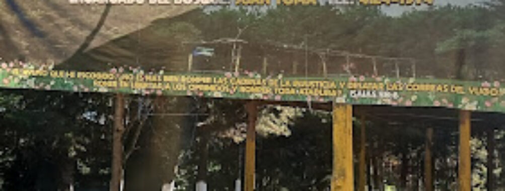 Astillero Comunal De Chimaltenango Travel Forum Reviews