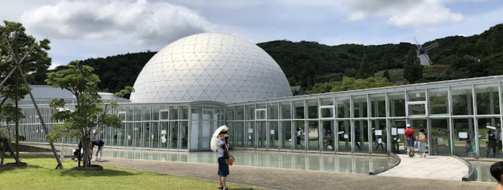 Asutamuland Tokushima Travel Forum Reviews