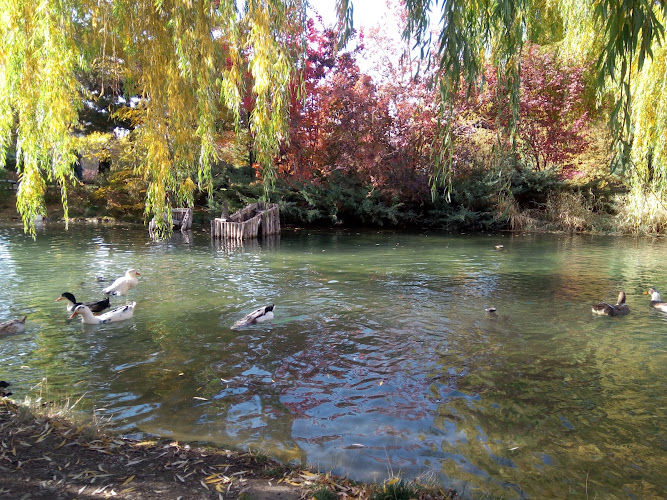 Ata Park Botanical Garden