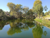 Ateozintla Travel Forum Reviews