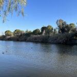 Athalassa National Forest Park