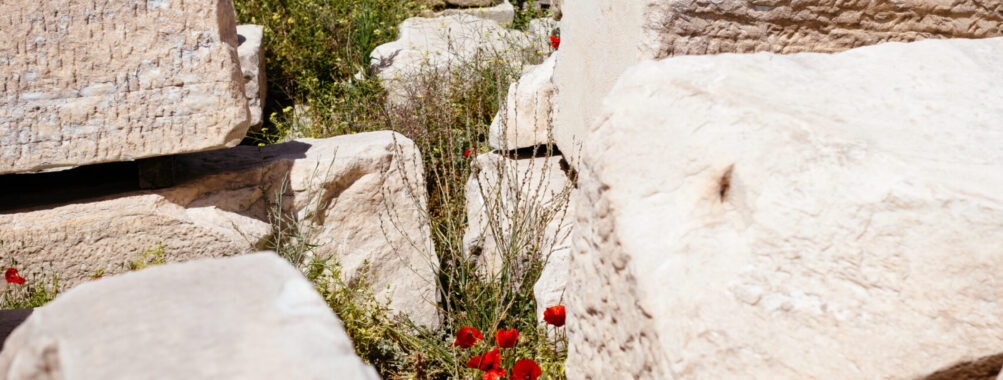 Acropolis of Athens afternoon walking tour Review