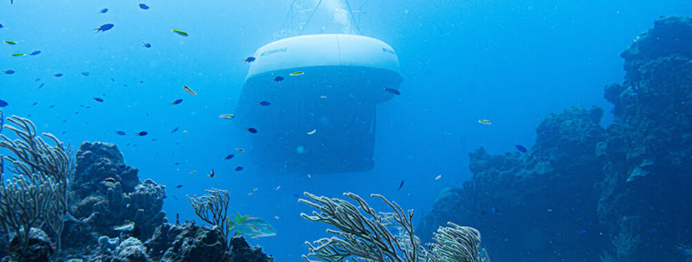 Atlantis Submarines Cozumel Travel Forum Reviews
