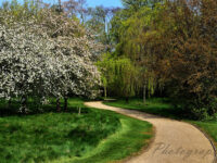 Attenborough Arboretum Travel Forum Reviews