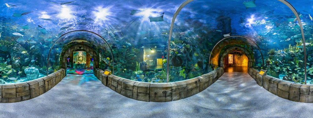 Audubon Aquarium Travel Forum Reviews