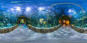 Audubon Aquarium