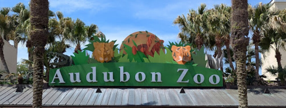 Audubon Zoo Travel Forum Reviews