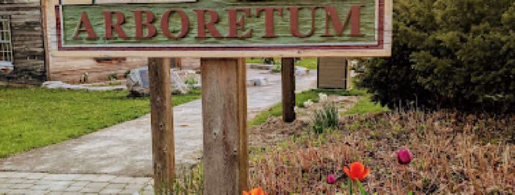 Aurora Community Arboretum Travel Forum Reviews