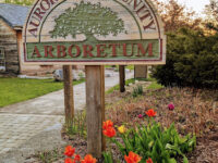 Aurora Community Arboretum Travel Forum Reviews