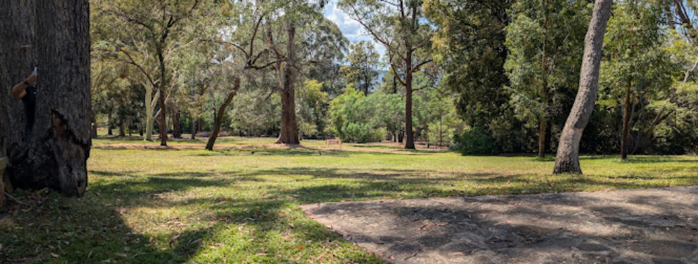 Australian National Botanic Gardens Travel Forum Reviews