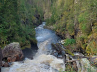 Auttiköngäs Travel Forum Reviews